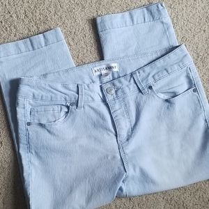 Artisan NY Striped Capris